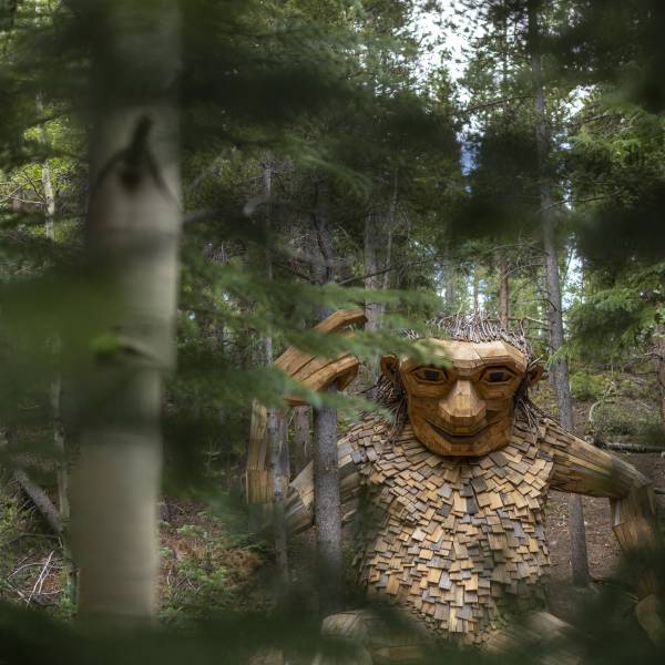 Isak Heartstone, a.k.a. the Breckenridge Troll, is a sculpture made from recycled materials by artist Thomas Dambo.
