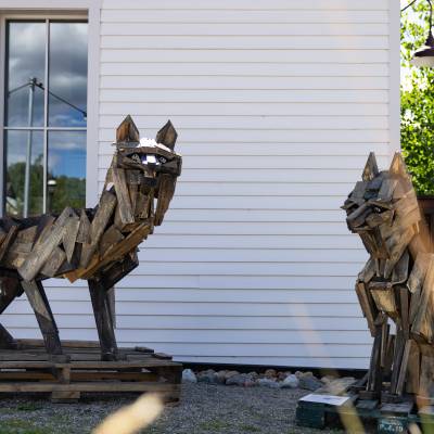 Have You Seen My Pack?