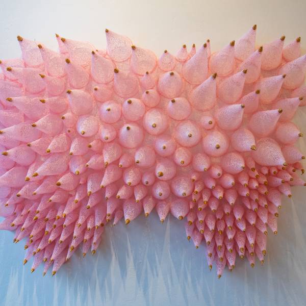 20260124 jodi stuart  kus139