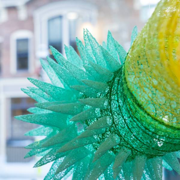 20260124 jodi stuart  kus150