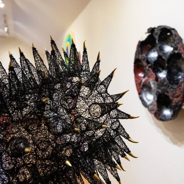 20260124 jodi stuart  kus203