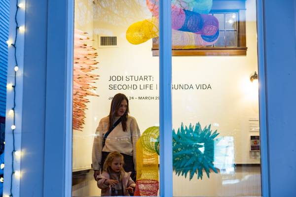 20260124 jodi stuart  kus254