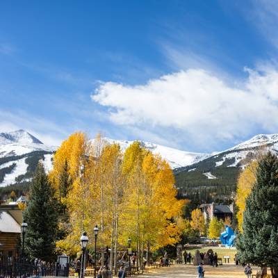 What are the Best Fall Foliage Spots for Artists Near Breckenridge?
