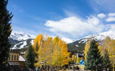 231014fall-textural-kusumoto008-1776971764.jpg
