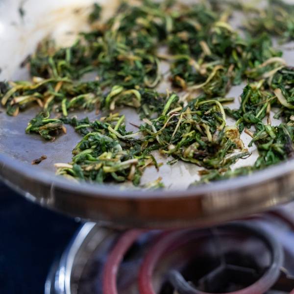 Foraged greens are sauteed during Breck Create