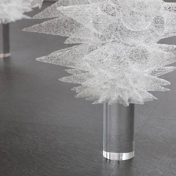 6crystallinesucker2023detail