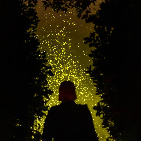 An image showing the installation Spark by Daan Roosegaarde, an immersive, biodegradable light installation