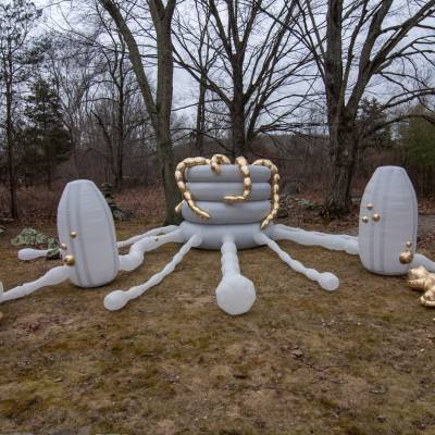 Nicole Banowetz: Biophilic Regeneration Series - The Dredge
