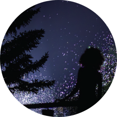 Create the Moments That Matter