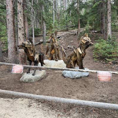 The Pack