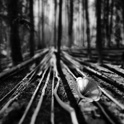 Bill Orisich: Root Notes - Sounds of the Underground