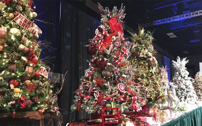 Festival of Trees Viewing