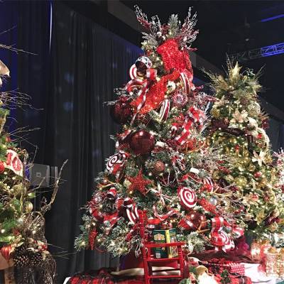 Festival of Trees Viewing