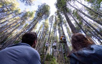 Trail Mix: Live music by Tree-o