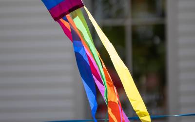 Sew Your Own Pride Flag
