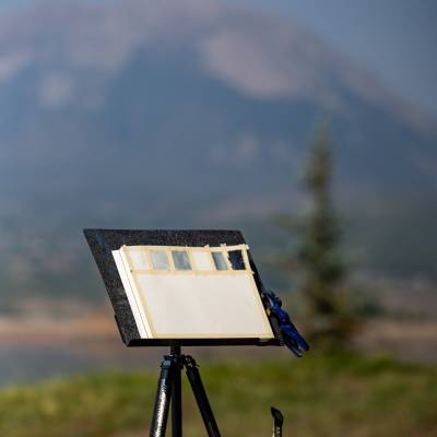 Watercolor Painting: Wildflower Landscapes