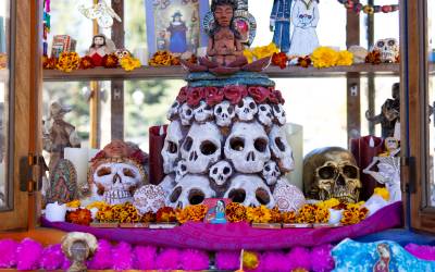 Explore the Ofrendas