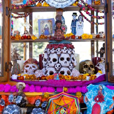 Explore the Ofrendas