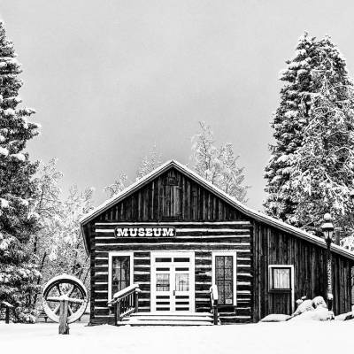 Edwin Carter Museum: 150th Birthday Celebration