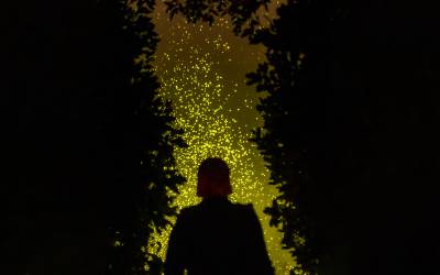 SPARK: Daan Roosegaarde