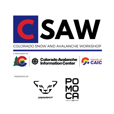 CSAW Logo