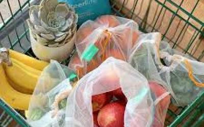 Making Change: Greener Groceries with Minimal Impact