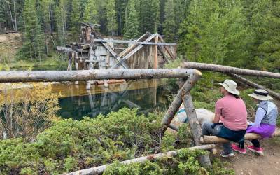 Trail Mix by Bill Orisich: Forest Bathing + Artist Talk