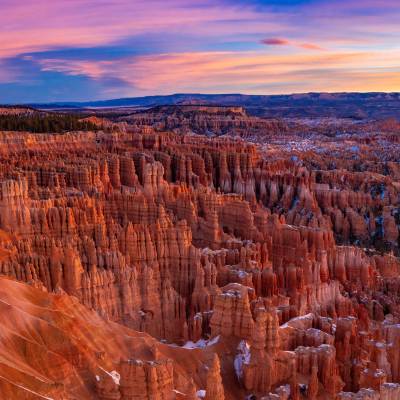 Free Family and Kids Concert