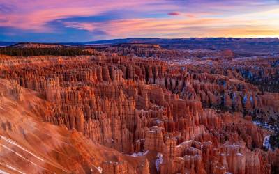 Free Family and Kids Concert