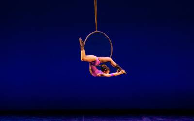 Minty Fresh Circus: Teaser Performances
