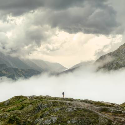 Dreams of a New World