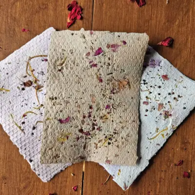 Going Green: Making Seed Paper with Minimal Impact