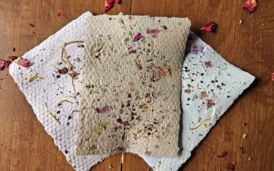 Going Green: Making Seed Paper with Minimal Impact